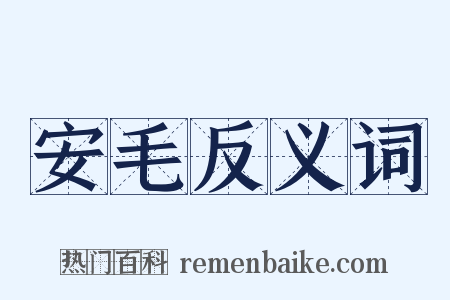 安毛反义词是什么意思的图片